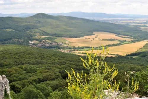 Vrch Velký Lysec