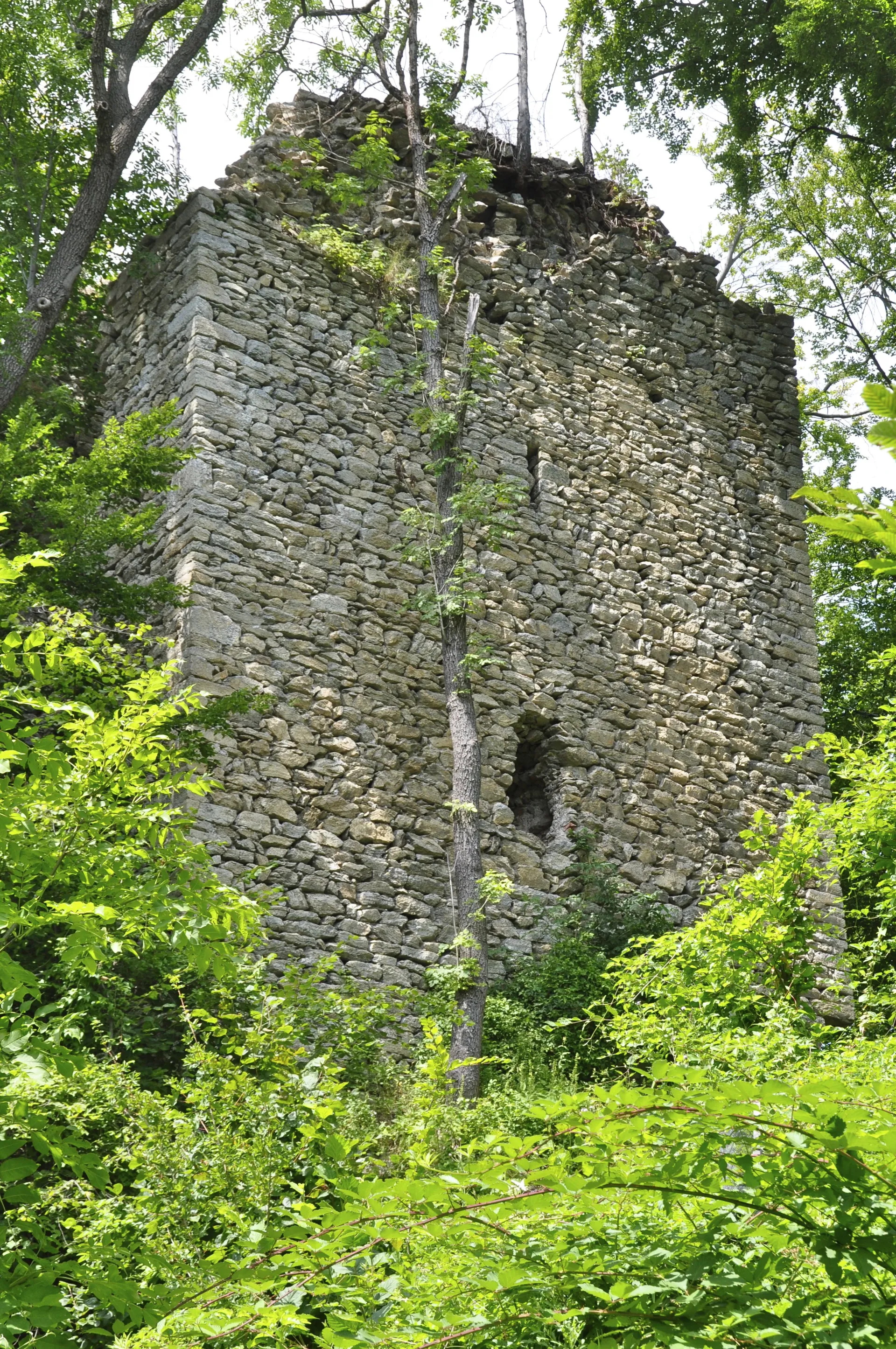 Zřícenina hradu Straßfried