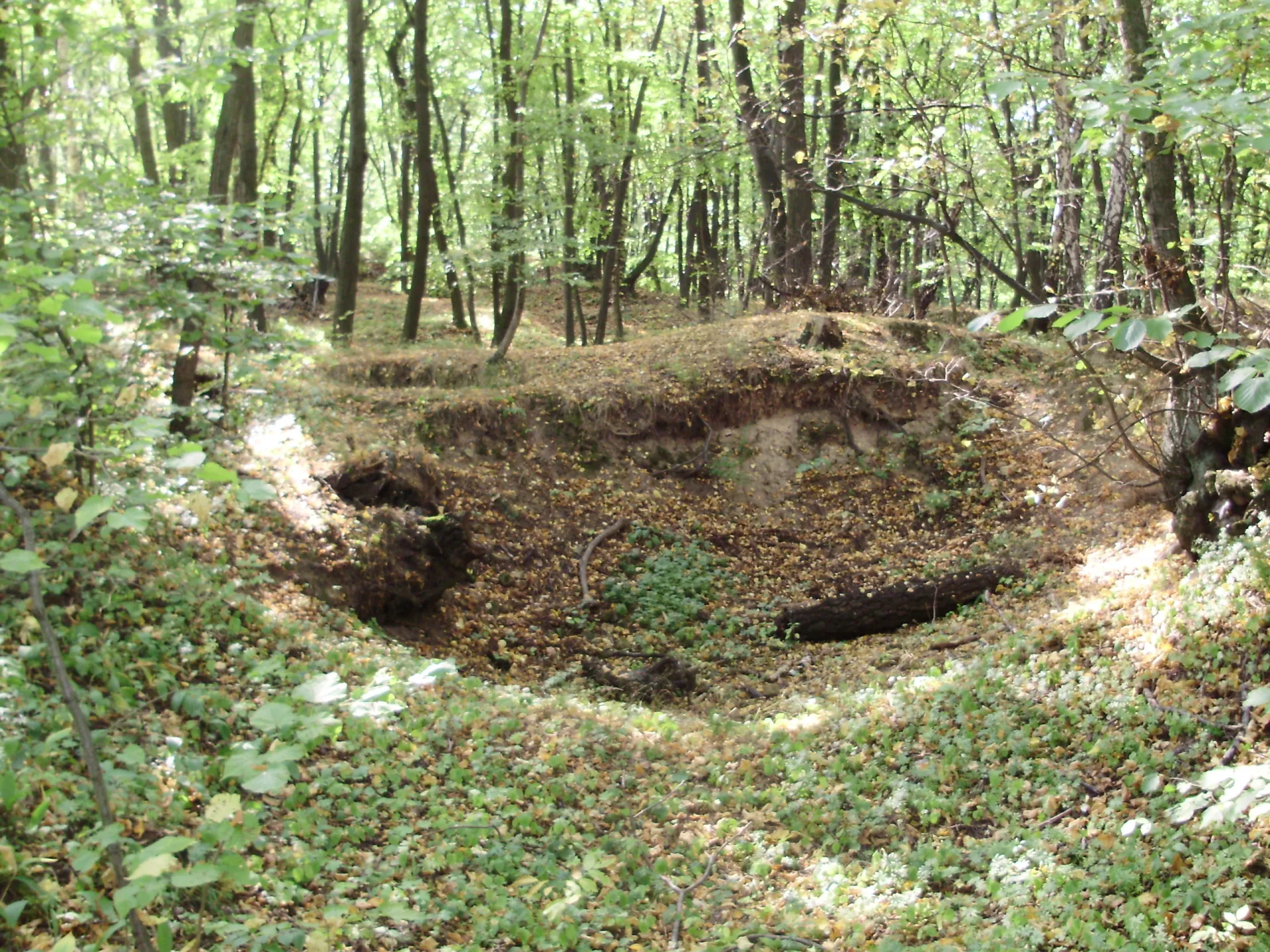 Zřícenina hradu Orlovice