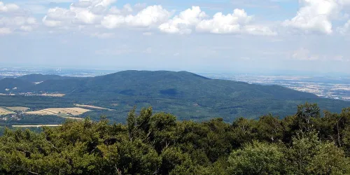 Monte Anninger