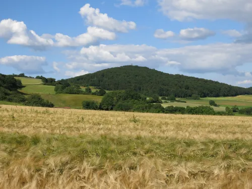 Rimberg con la torre de observación de Rimberg