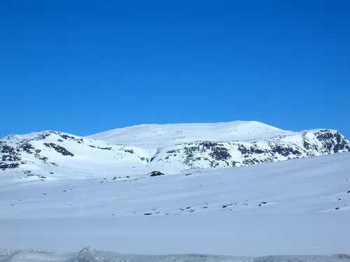Hora Høgeloft