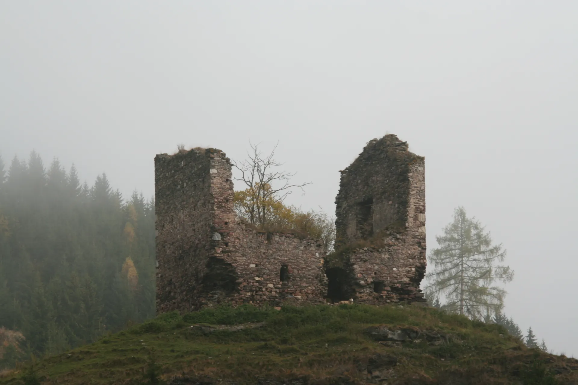 Zřícenina hradu Althaus
