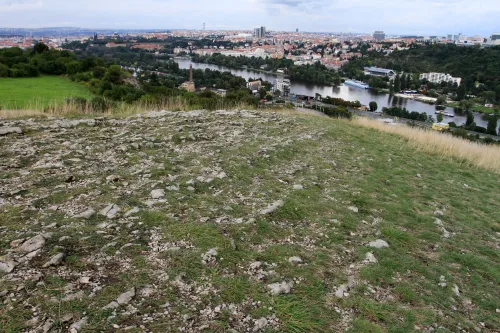 Zřícenina hradu Děvín