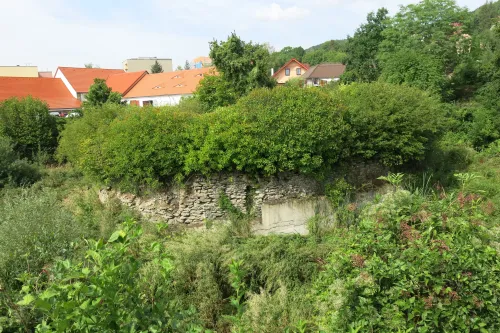 Tvrziště Starý dvůr