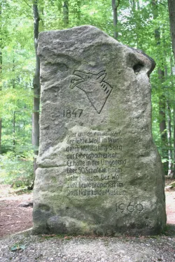 Vrch Wolfstein