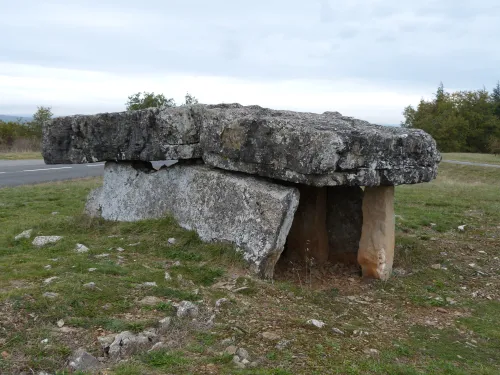 Dolmen La Peyrelevade