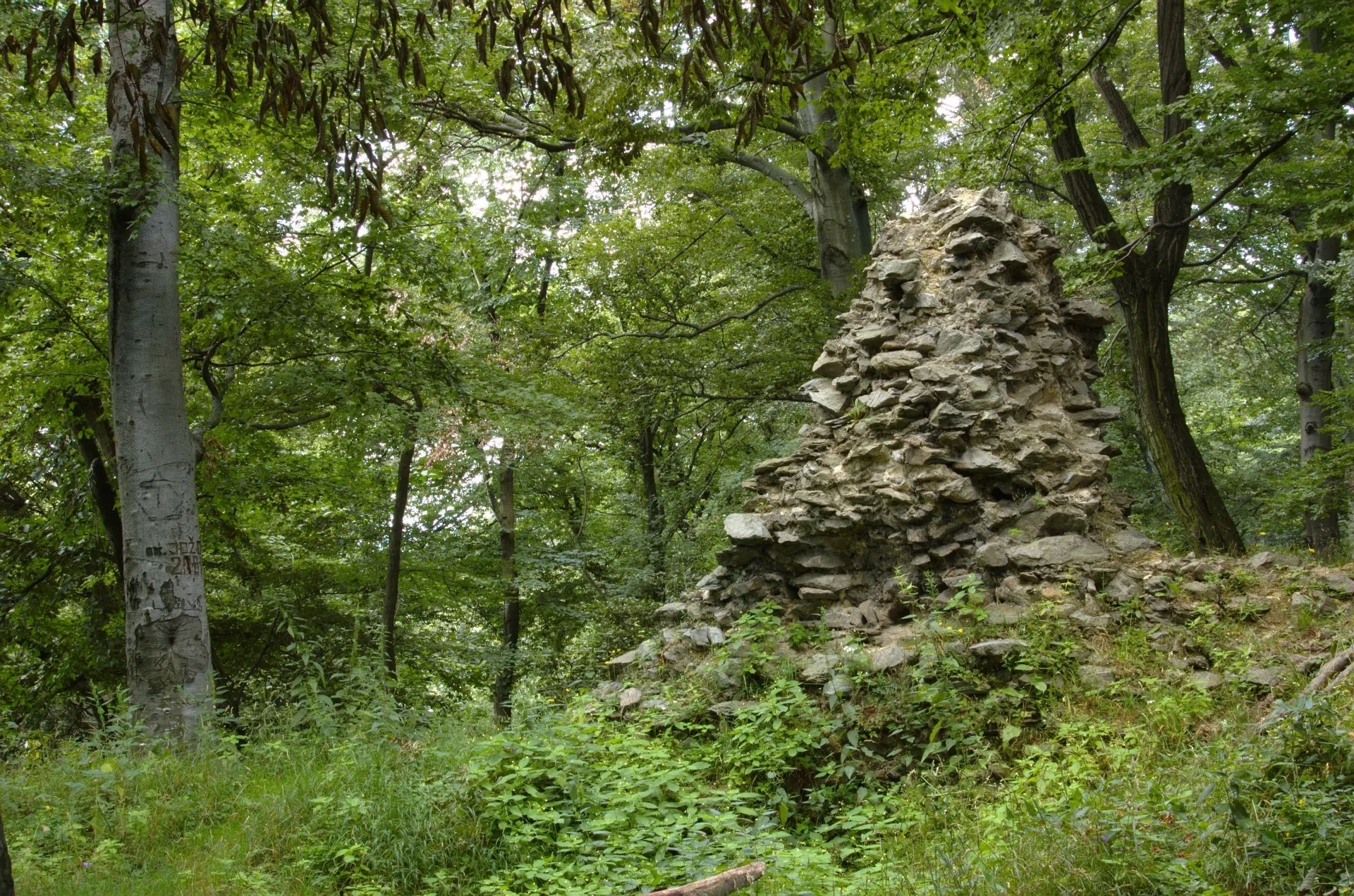 Zřícenina hrádku Dračí hrádok