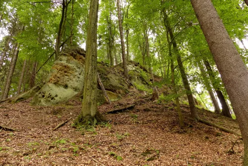 Zřícenina hradu Zbyny