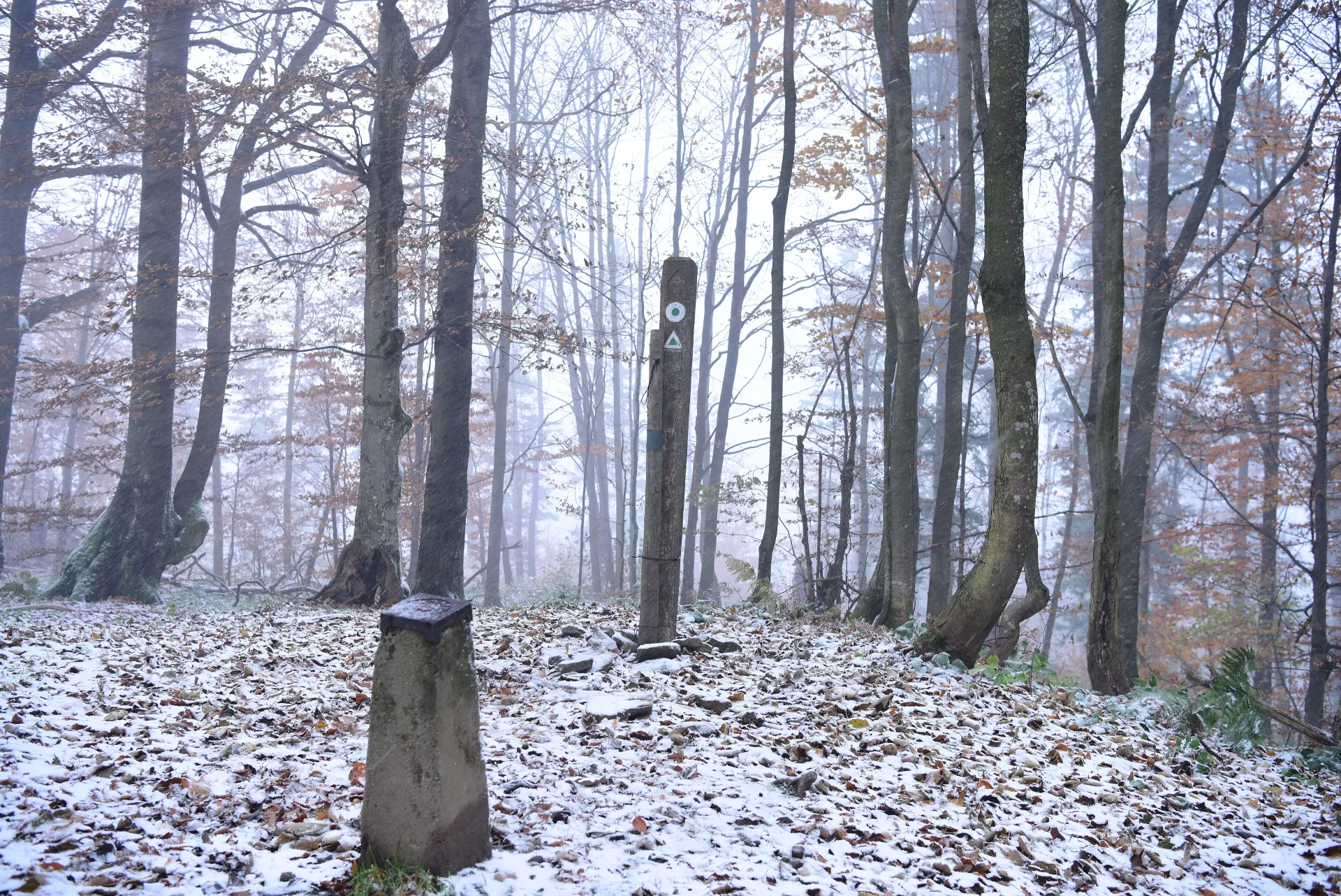 Cima Trohanec