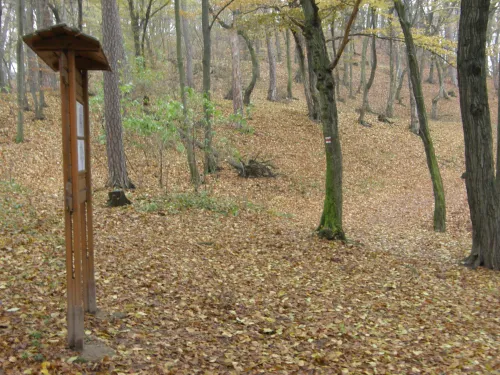 Hradiště Bašta v Boskovicích