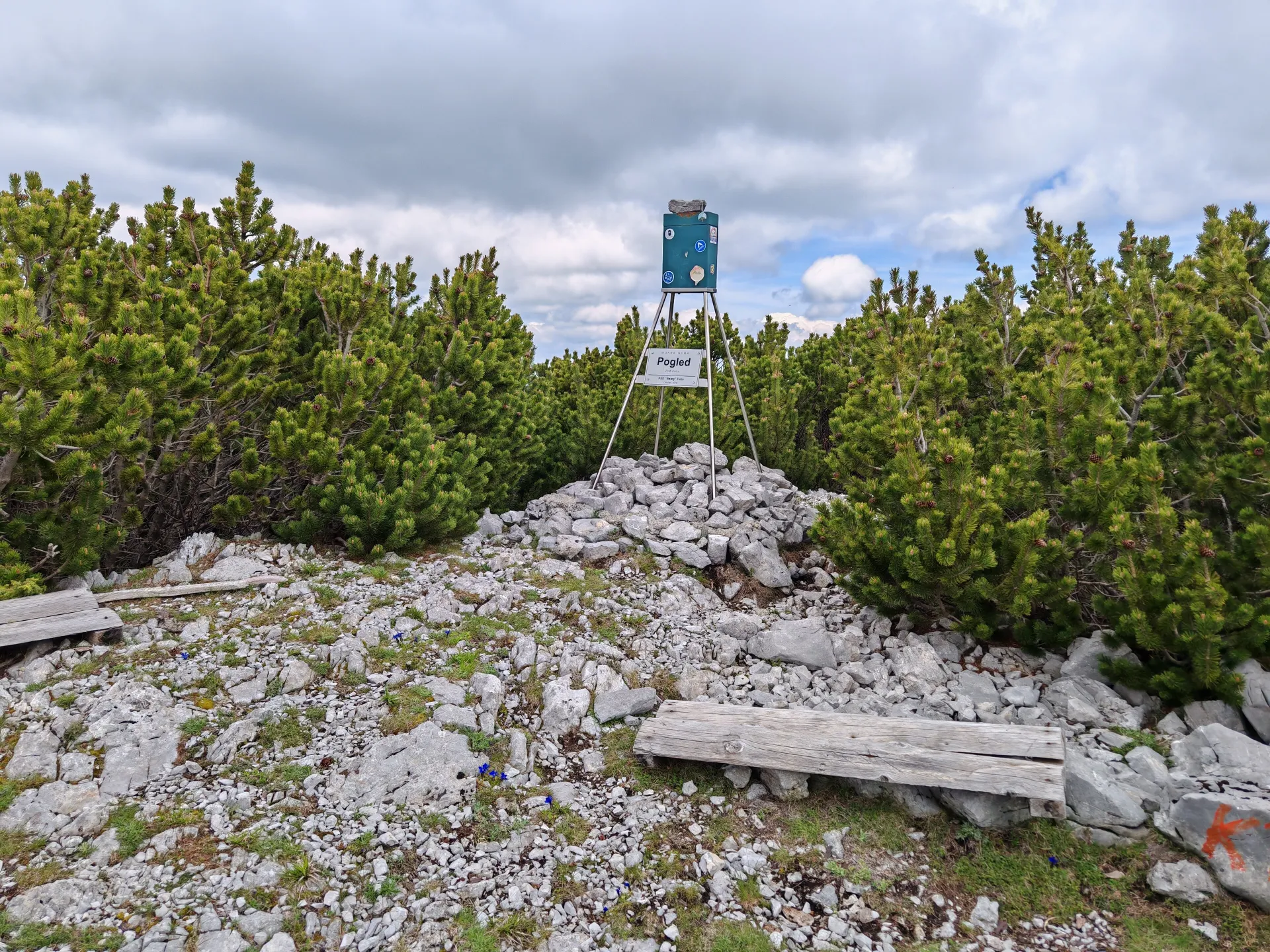 Mont Pogled