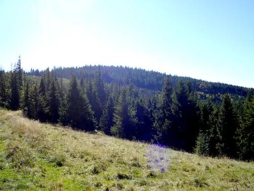 Vrchol Repisko