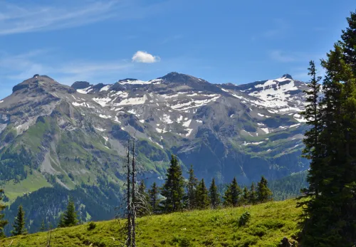 Mont Weisshorn
