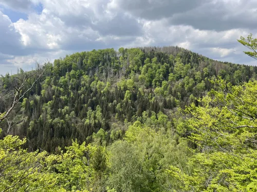 Vrch Barenberg
