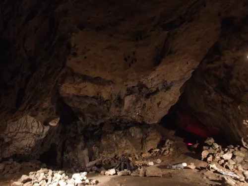 Höhle Wierzchowska Górna