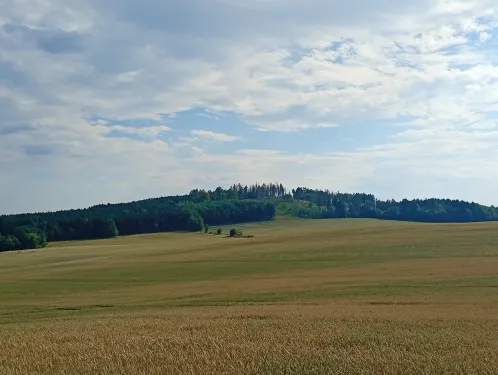 Vrch Hutberg