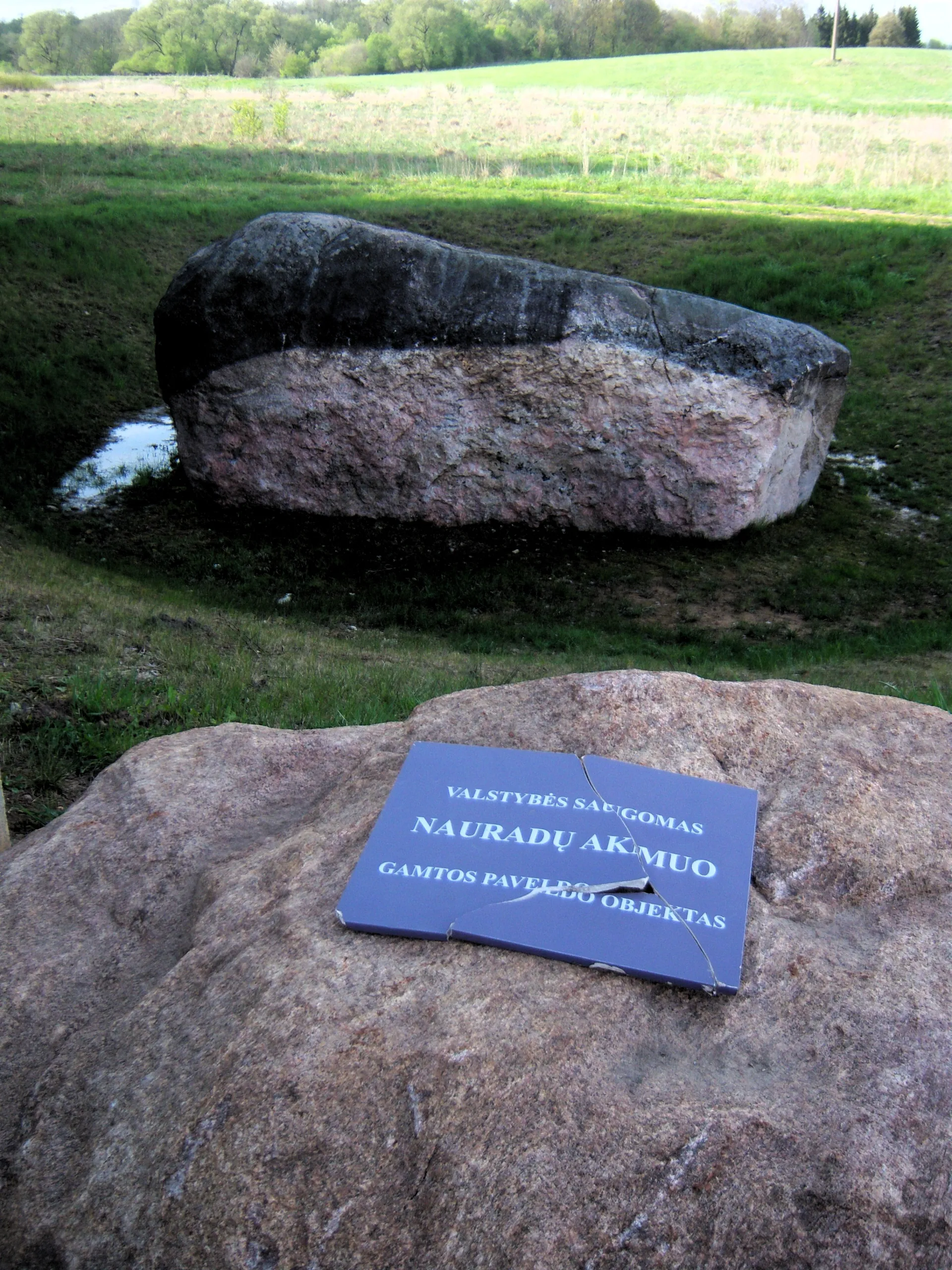 Piedra de Nauradai