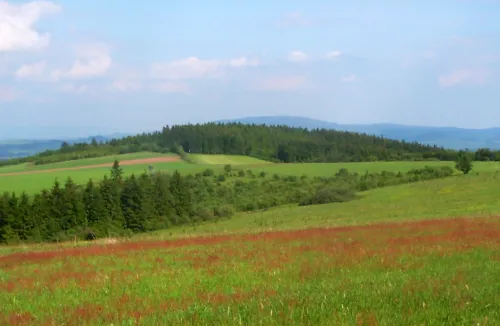 Zadní hraniční vrch