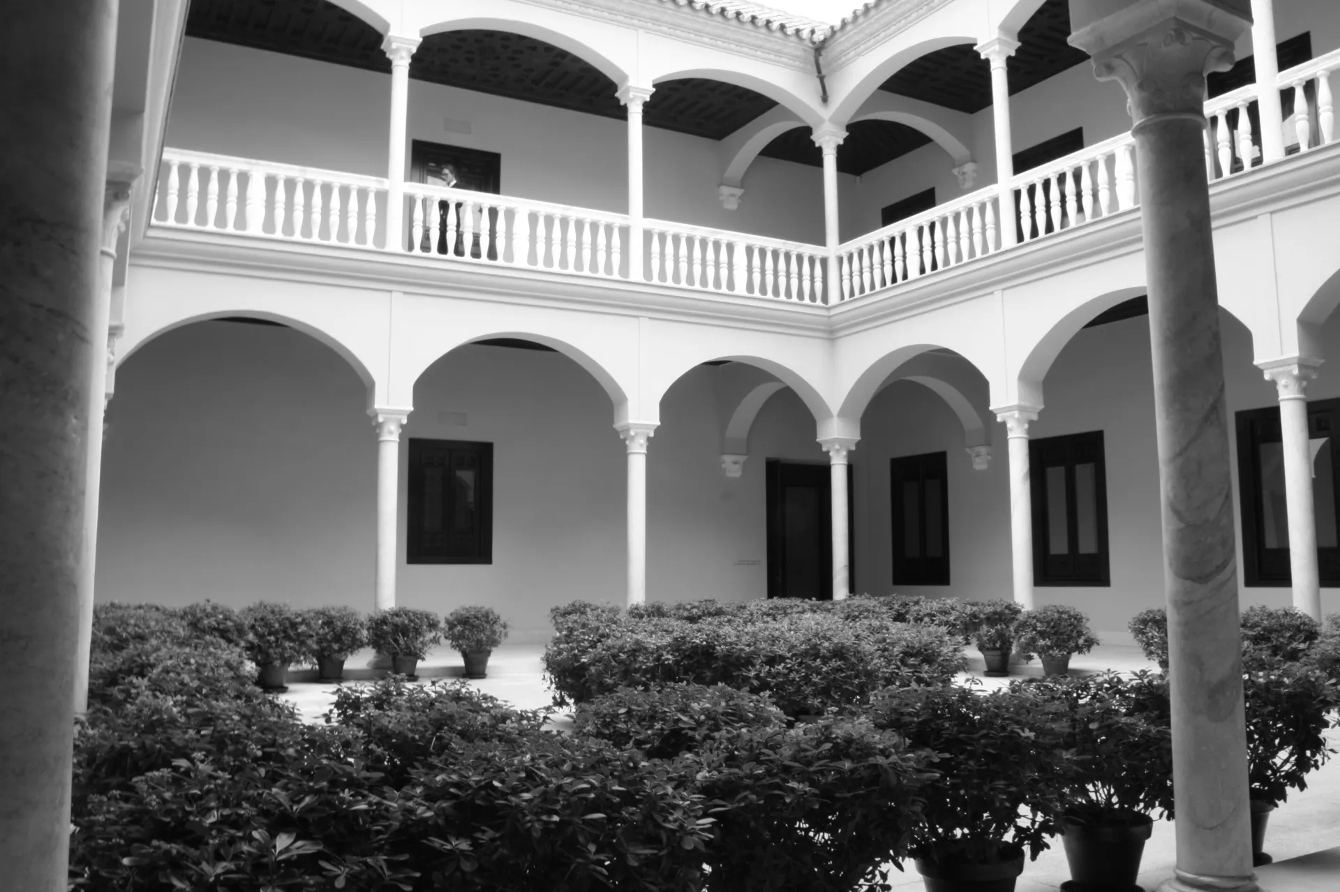 Palác hrabat z Buenavisty de la Victoria