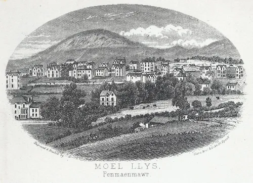 Foel Lus