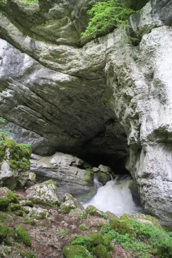 Source du Pontet Spring