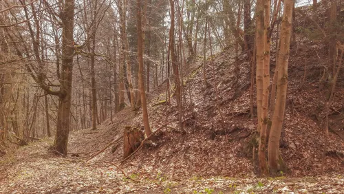Zřícenina skalního hradu Schloßkopf