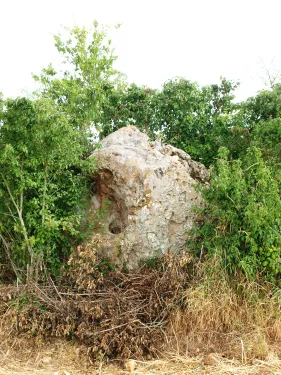 Menhir La Pierre-Fitte