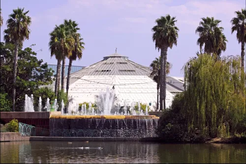 Parque Phœnix