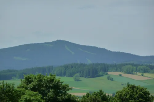 Hora Sternstein