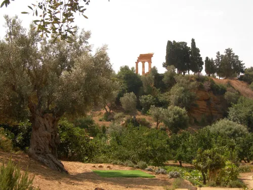 Zahrada Kolymbethra