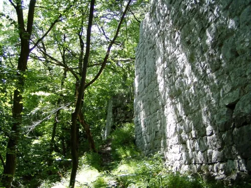 Zřícenina hradu Scharfeneck