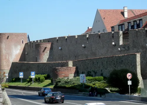 Vtáčí bastion