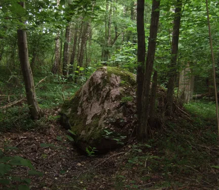 Kámen v Antatiškiai, Šiaučiukas