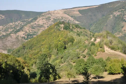 Dácká pevnost Căpâlna