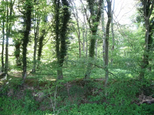Hrad Glottenham Castle
