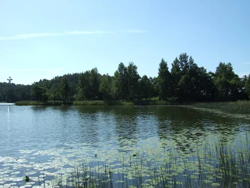 Hradiště Želvų Kaukuras