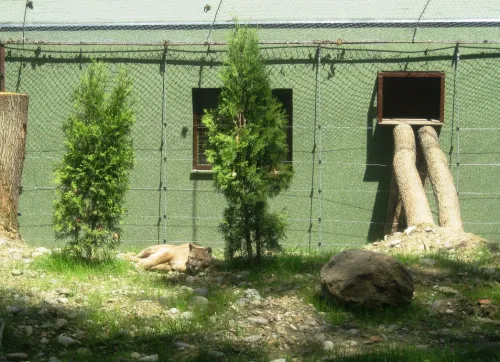 Zoologická zahrada v Târgu Mureș