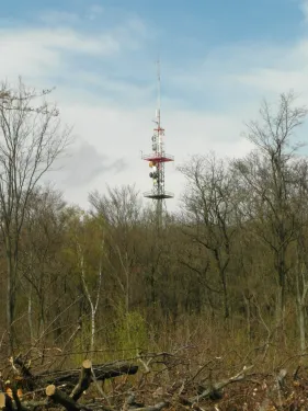 Rozhledna Sonnenbergwarte