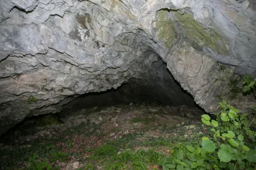 Jeskyně Steinplattenhöhle u Frohnleitenu