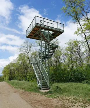 Heidbergská rozhledna