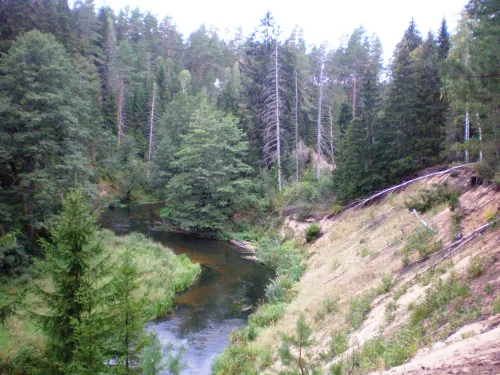 Skály Mančiagirė