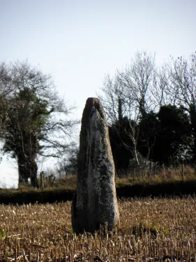 Menhir La Roche Longue