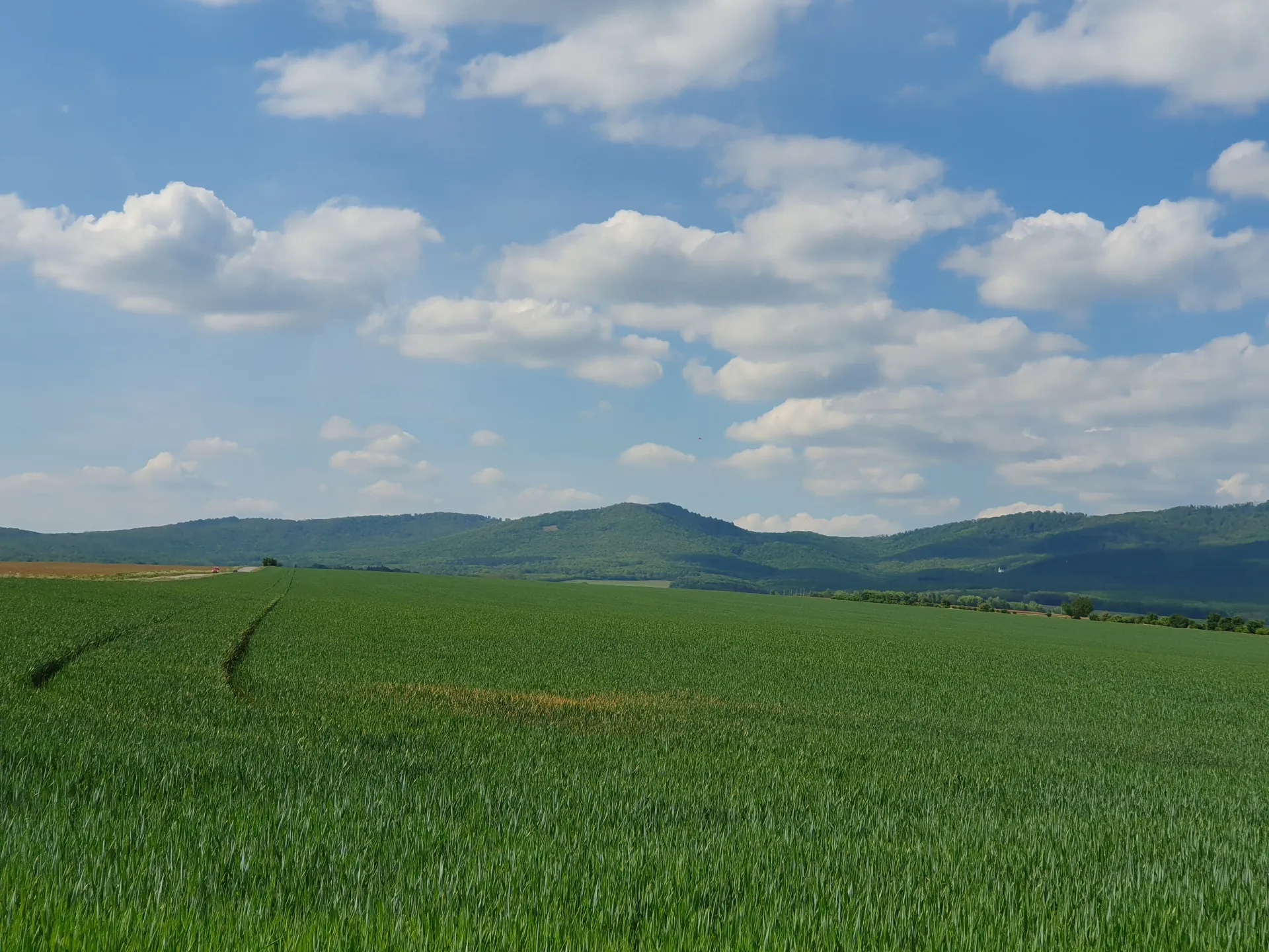 Vrch Gajda