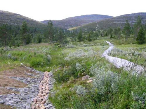 Pallastunturi