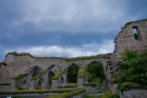 Klášter Alvastra