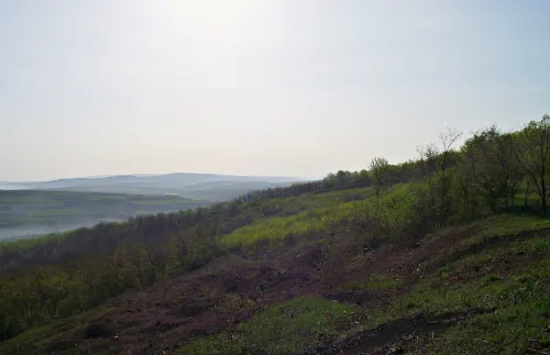 Kopec Măgura