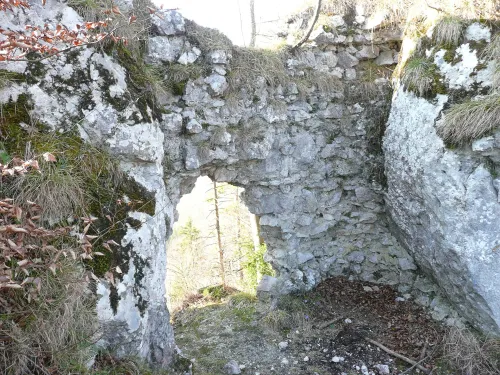 Zřícenina hradu Leonstein