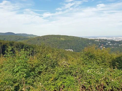 Hora Schafberg