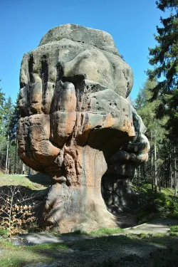 Kelchstein